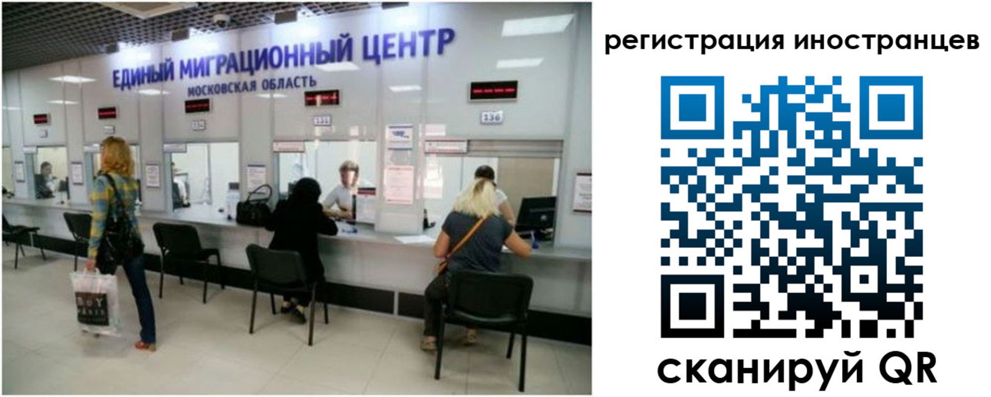 где прописаться в Нелидово